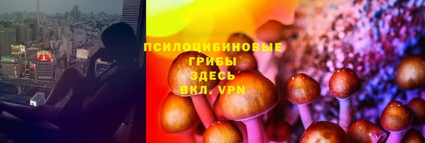 ПСИЛОЦИБИНОВЫЕ ГРИБЫ Балахна