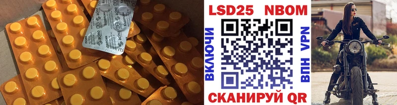 где можно купить   Сунжа  ЛСД экстази ecstasy 