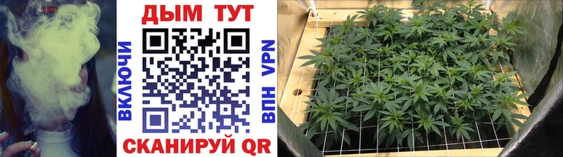 Шишки марихуана SATIVA & INDICA  Сунжа 